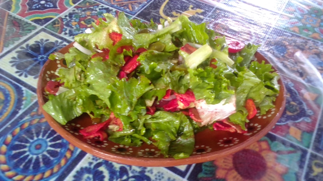 <span style="font-weight: bold;">Ensalada mixta</span>